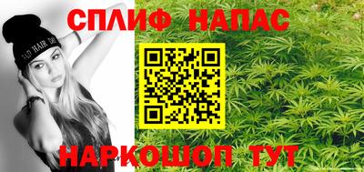 СК Пенза