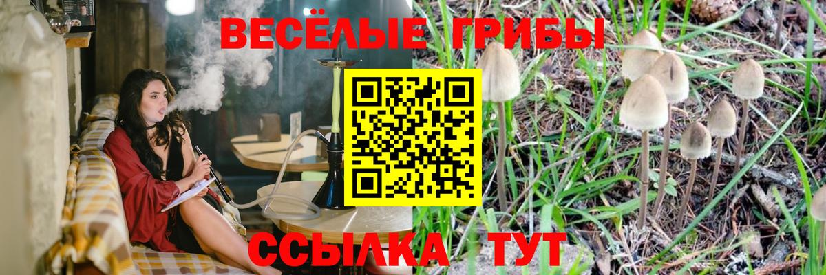Псилоцибиновые грибы мицелий Туймазы