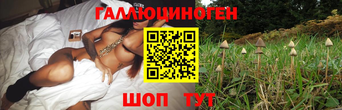 Туймазы  Галлюциногенные грибы прущие грибы  Вход с VPN 